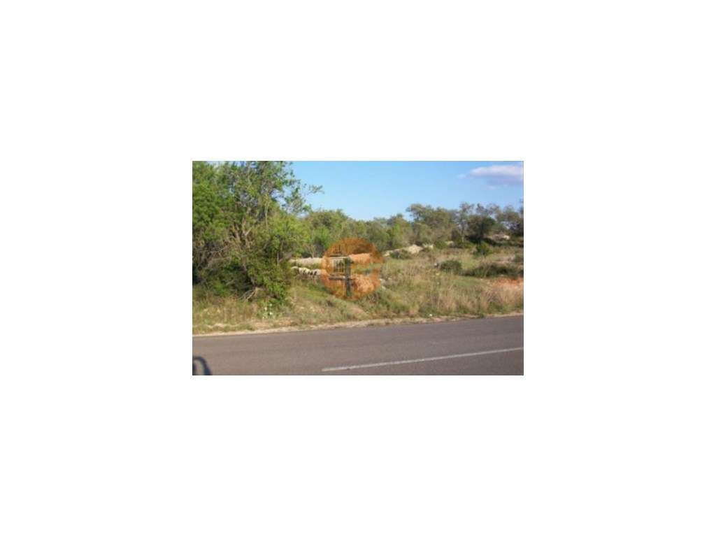 TERRENO RÚSTICO COM 11.200 M2 - PADERNE - ALBUFEIRA - ALGARVE - Grande imagem: 3/15