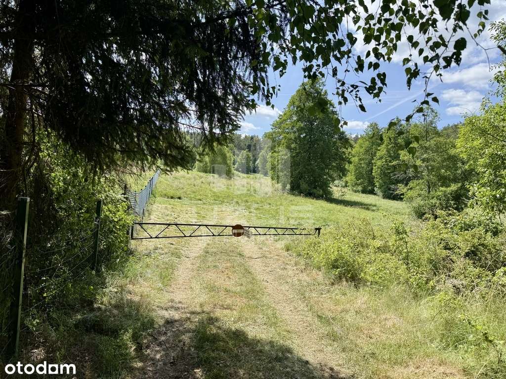 Twój azyl w Borach Tucholskich – działki w Ocyplu - Pełny obrazek: 4/13