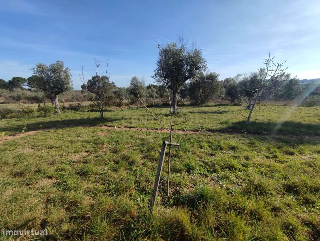 Fantástica Quintinha em Tinalhas, Castelo Branco - Grande imagem: 4/47