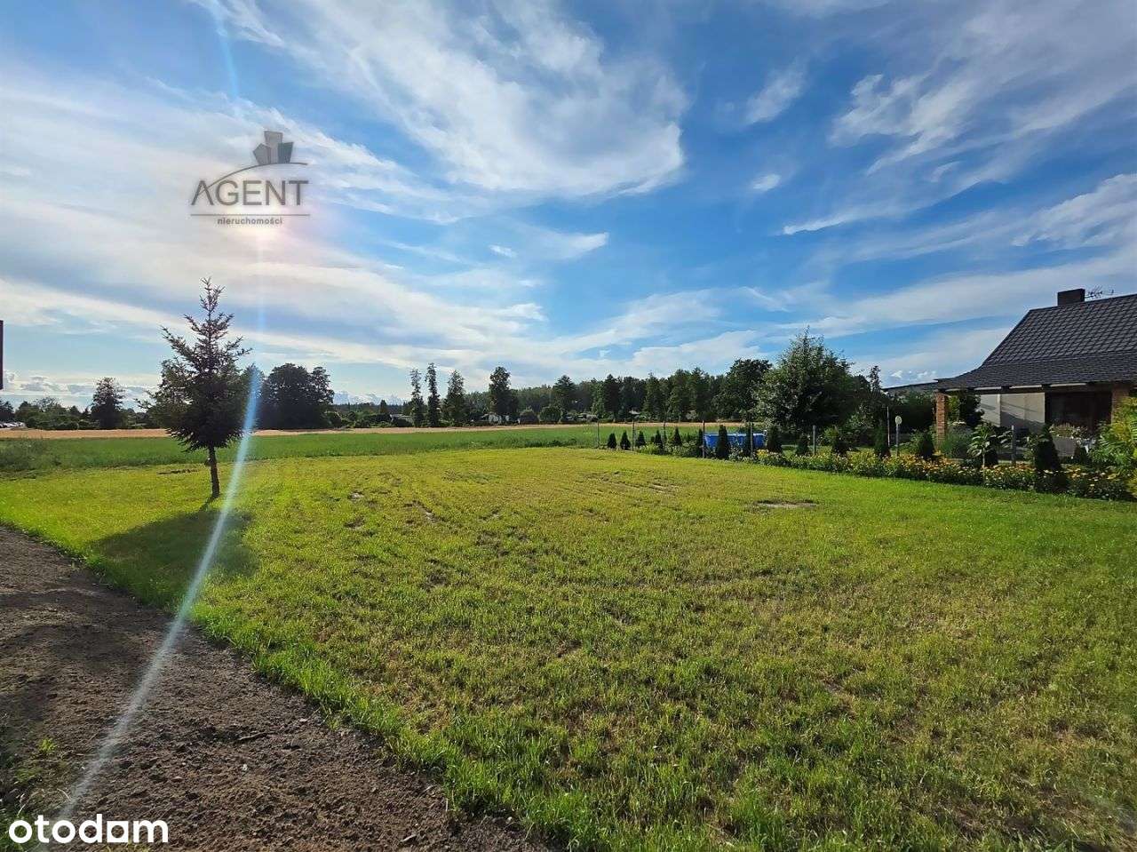 Działki/Nekla Jedna? lub komplet?-2