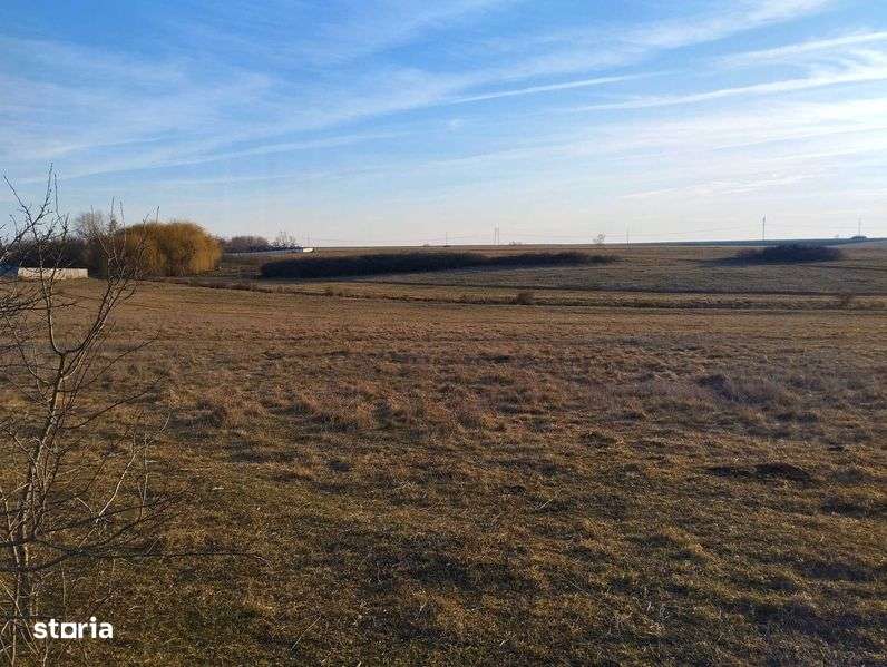 Teren intravilan Frumuseni - Imagine principală: 4/6