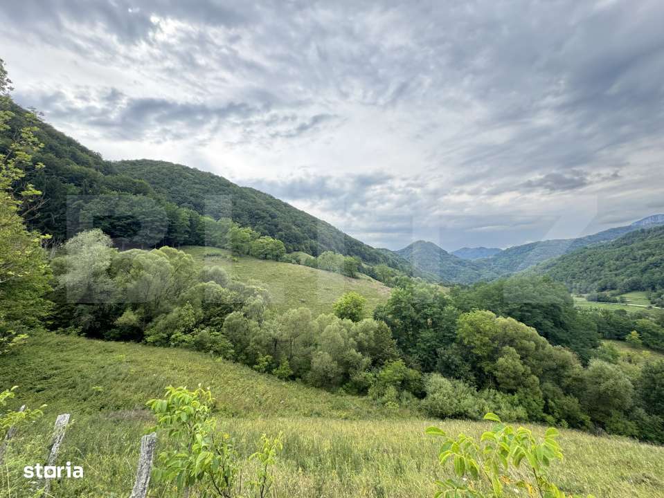 Teren extravilan 23.376 mp, in apropiere de Brad - Imagine principală: 4/4