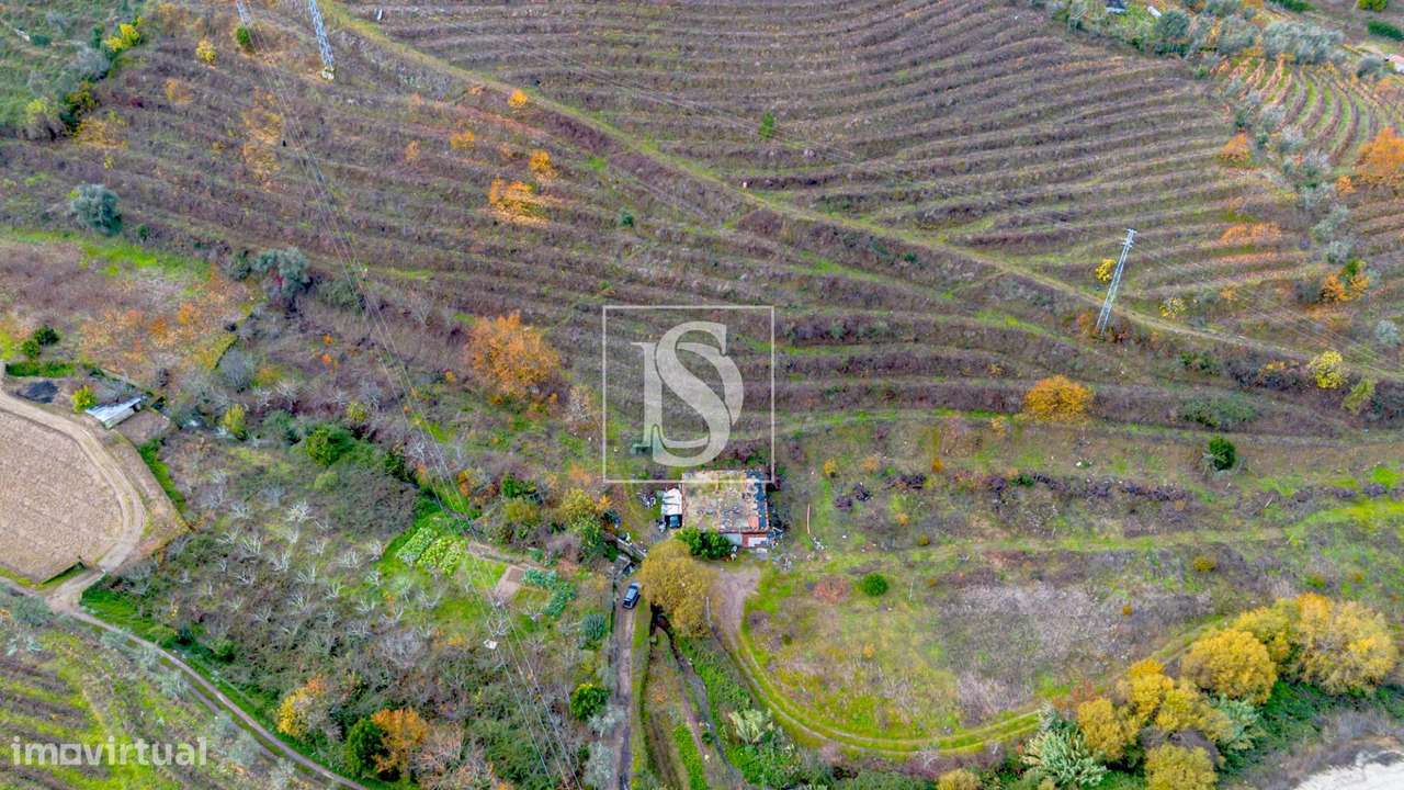 Quinta das Lamas - Grande imagem: 5/15