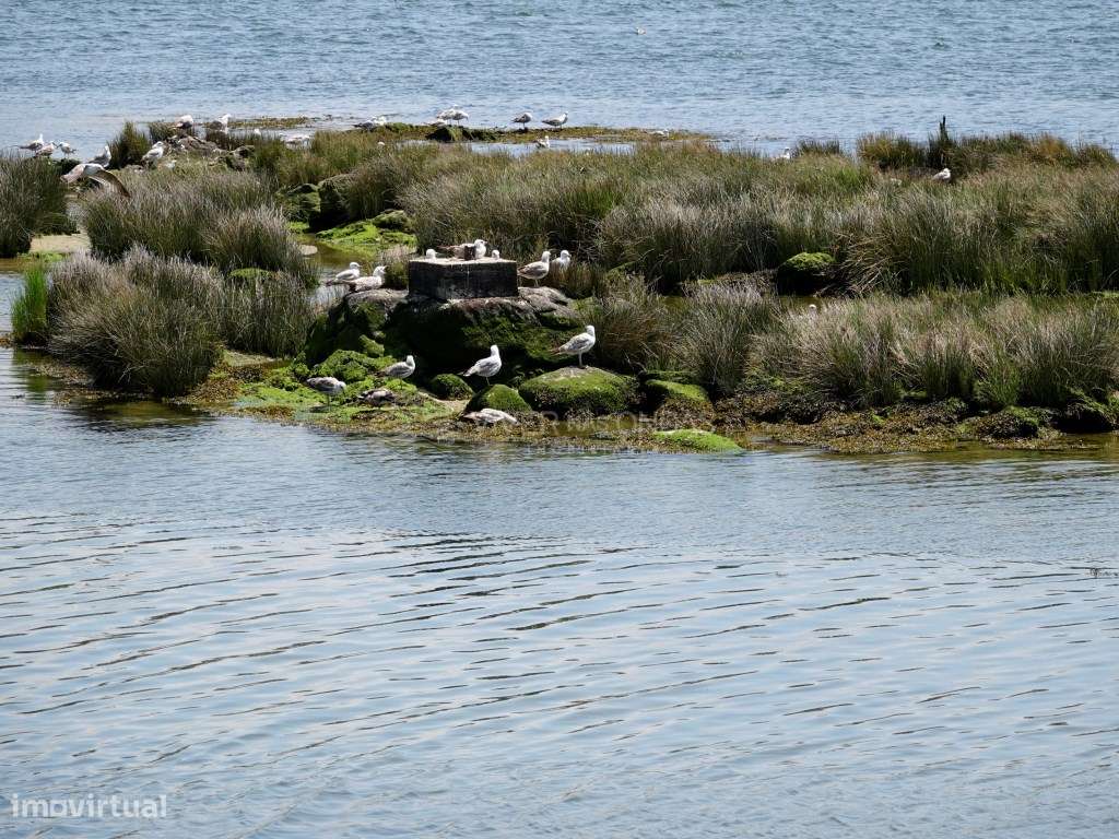 Apartamento T4 com 2 lugares de parqueamento e arrecadação.-44