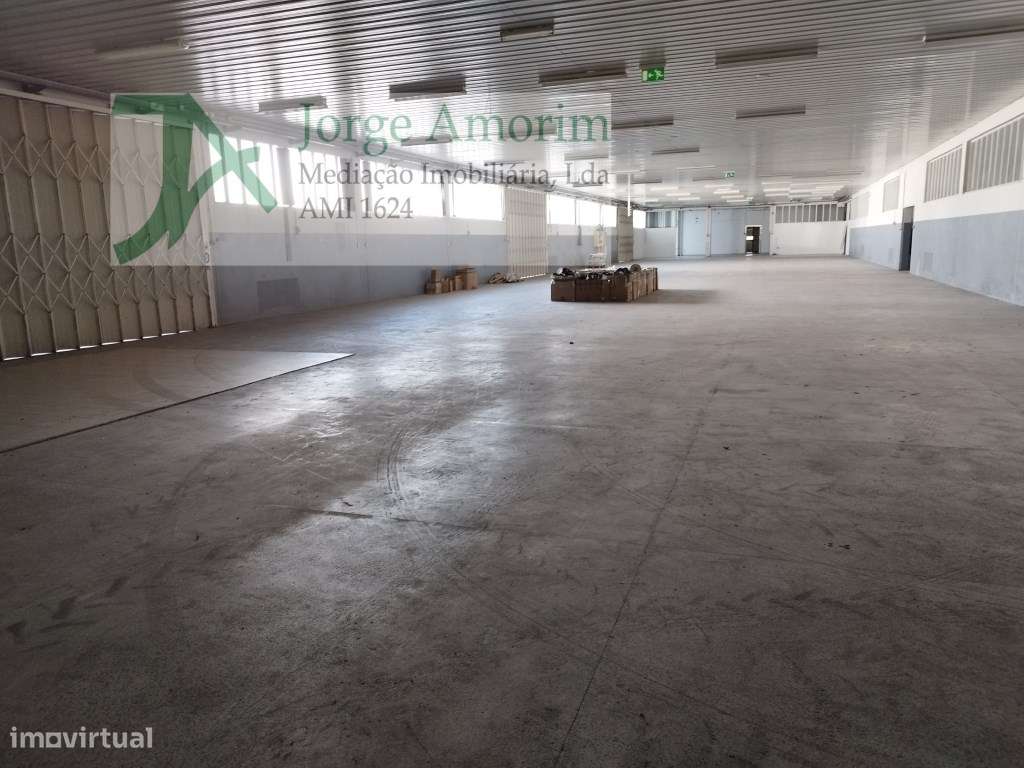 Armazém industrial com frente para a N14 - Grande imagem: 3/16