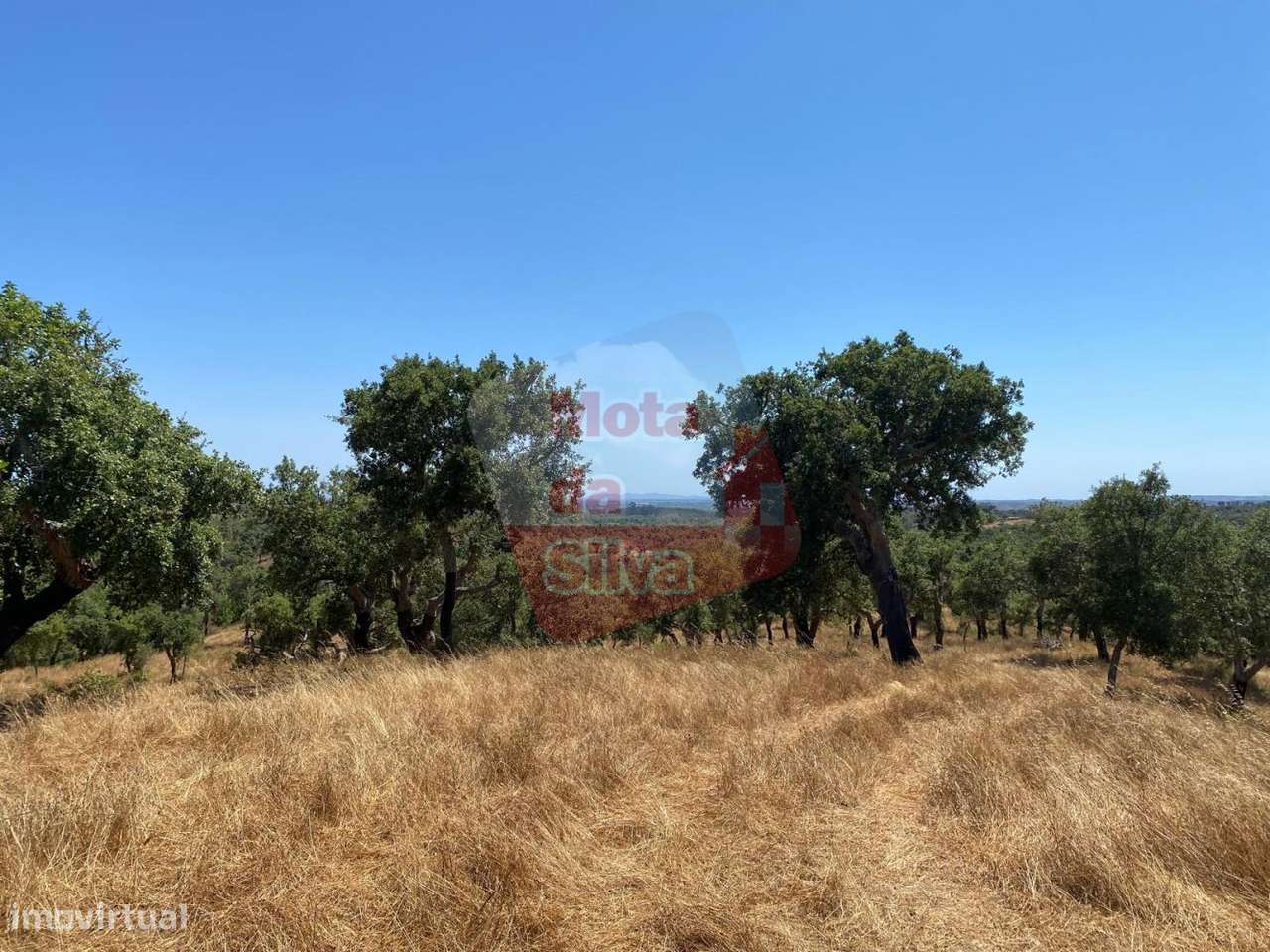 Quinta agrícola com habitação em São Bartolomeu da Serra-7