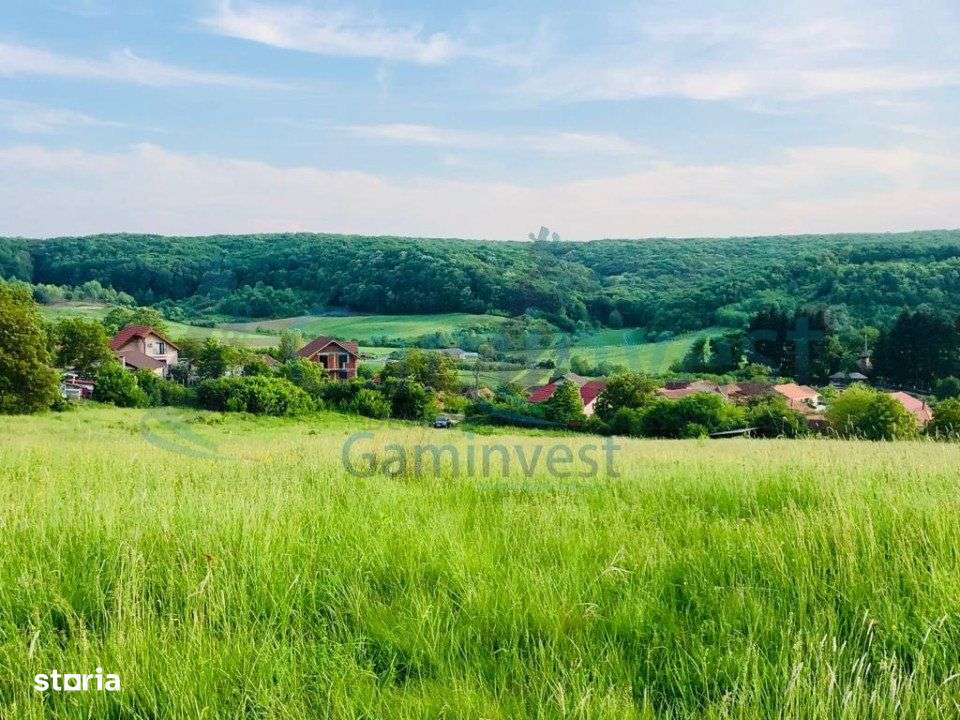 Gaminvest-Teren mixt de vanzare in Hidiselu de Jos, Bihor V2896 - Imagine principală: 1/3