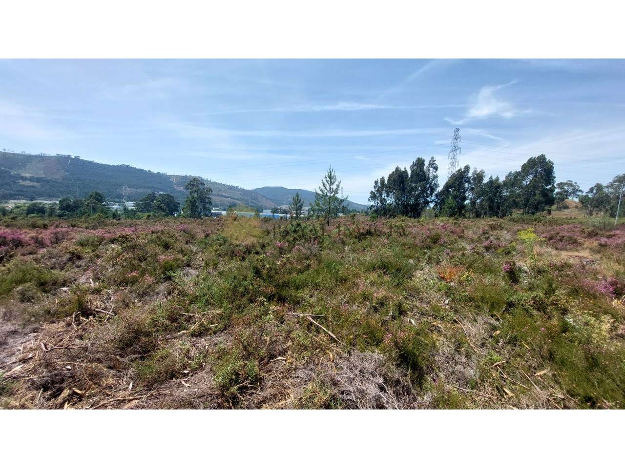 Terreno Industrial- Zona Industrial de Campo (Valongo) - Grande imagem: 4/12