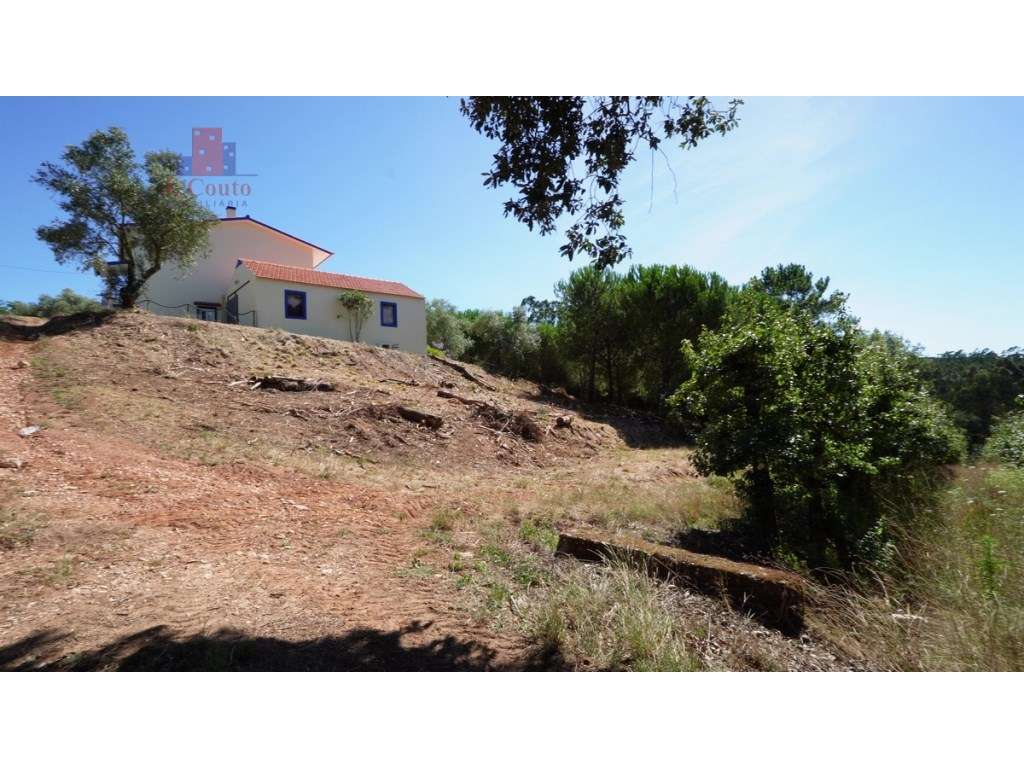 Quintinha com 14.000m2 de terreno com mina de água e árvores de fruto. - Grande imagem: 5/42