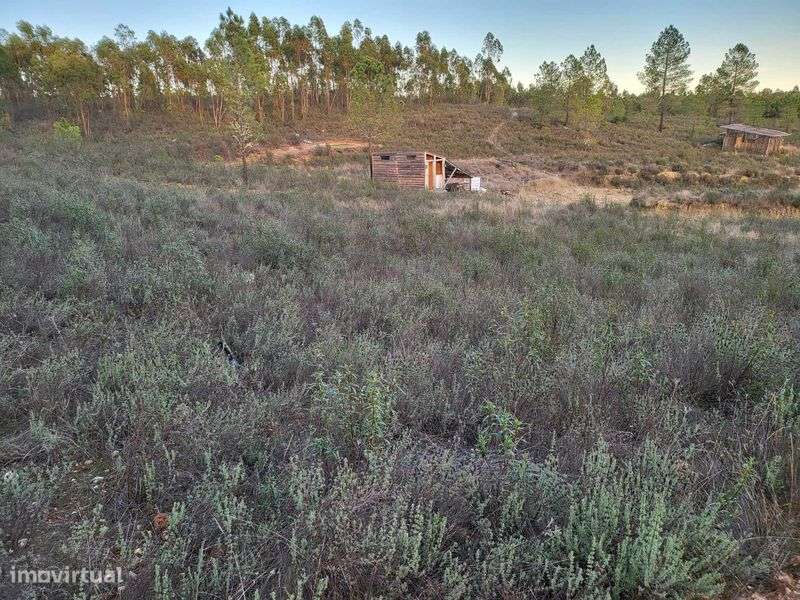 Refúgio Off-Grid 2.5ha com Ribeira e Autocaravana e solar - Grande imagem: 5/12