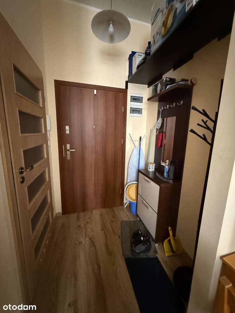 Ładna kawalerka blisko Karkonoskiej Akademii Nauk Stosowanych - Pełny obrazek: 5/14