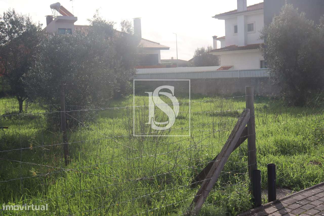 Terreno  Venda em Montalvo,Constância - Grande imagem: 3/7