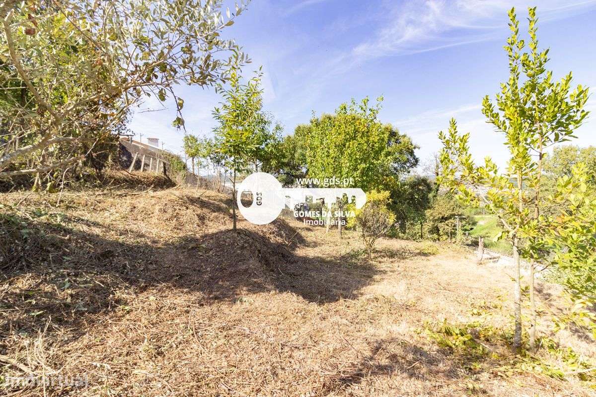 Moradia tri-familiar em ruína com afetação de comércio e habitação-18