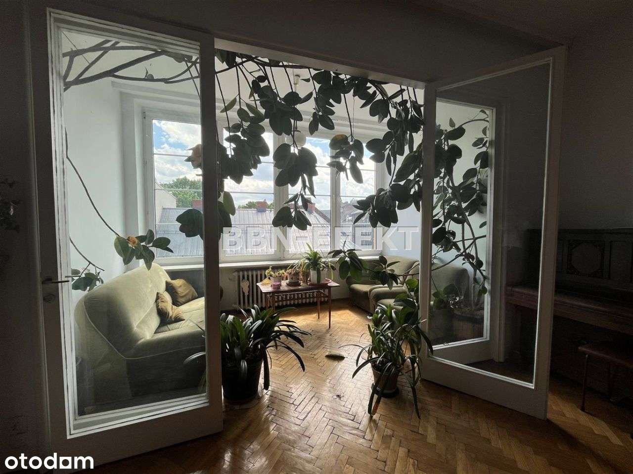 Bielsko-Biała, Dolne Przedmieście - Pełny obrazek: 1/17