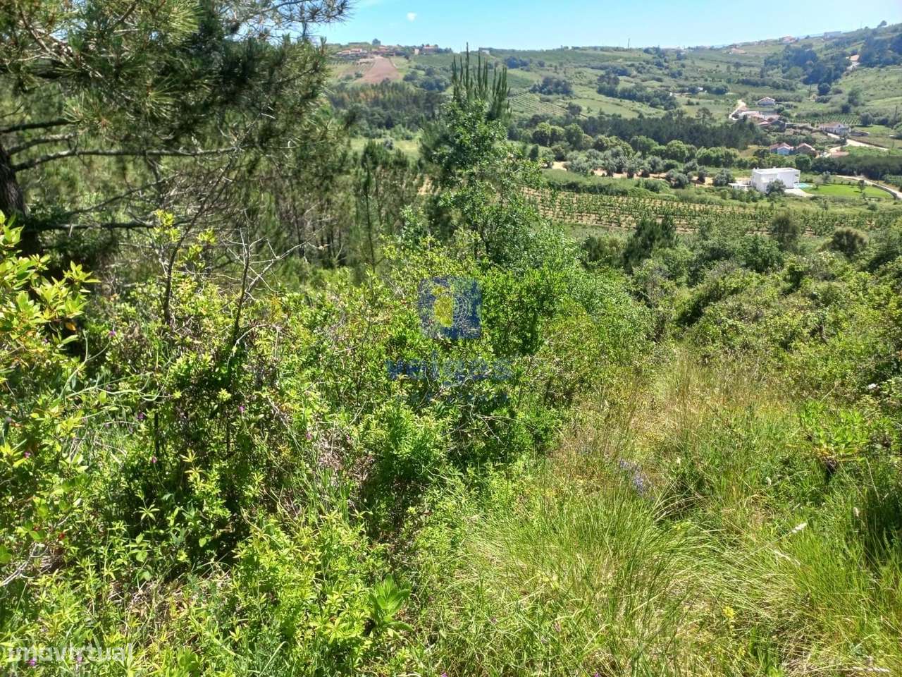Incrível Terreno Rústico de 30.000 m², localizado nas Cruzes - Salir - Grande imagem: 5/26