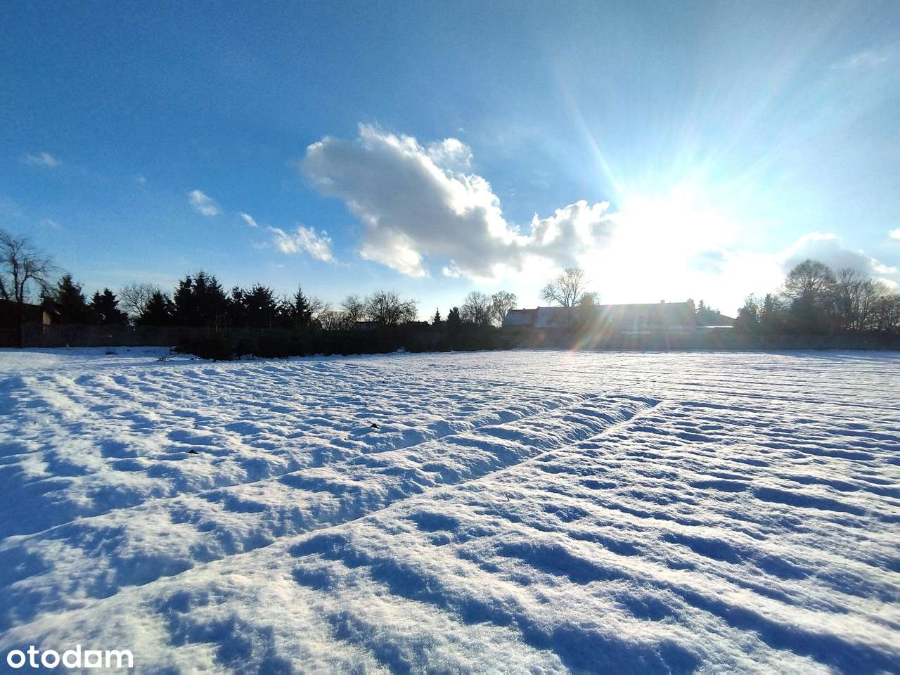 Kameralna, świetna DZIAŁKA W GOŁACZOWIE k. Chojnowa (mpzp-MU/RM)-6