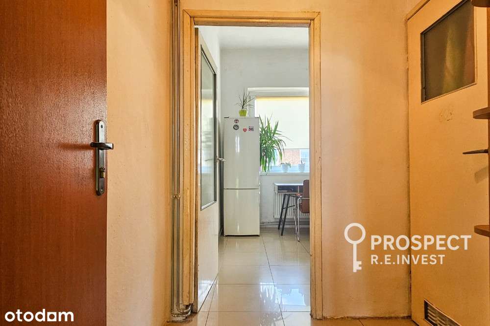 Brak prowizji! Duża Kawalerka  w zielonej okolicy!-3