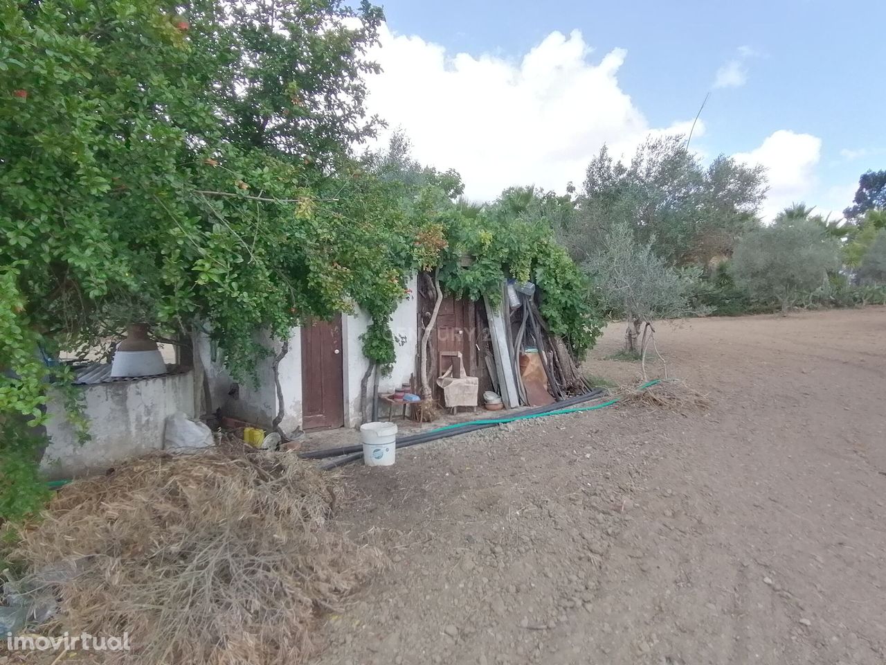 Terreno Rustico 3500 m2 com água da EDIA, Cuba do Alentejo