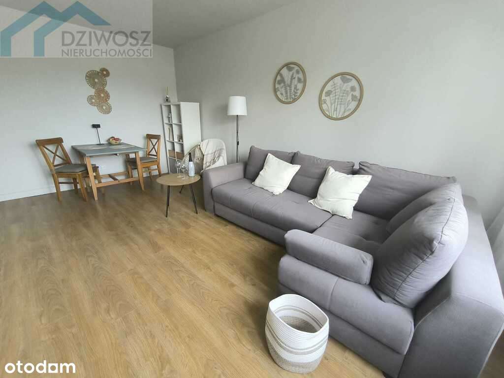 Kawalerka w super lokalizacji - Pełny obrazek: 4/12