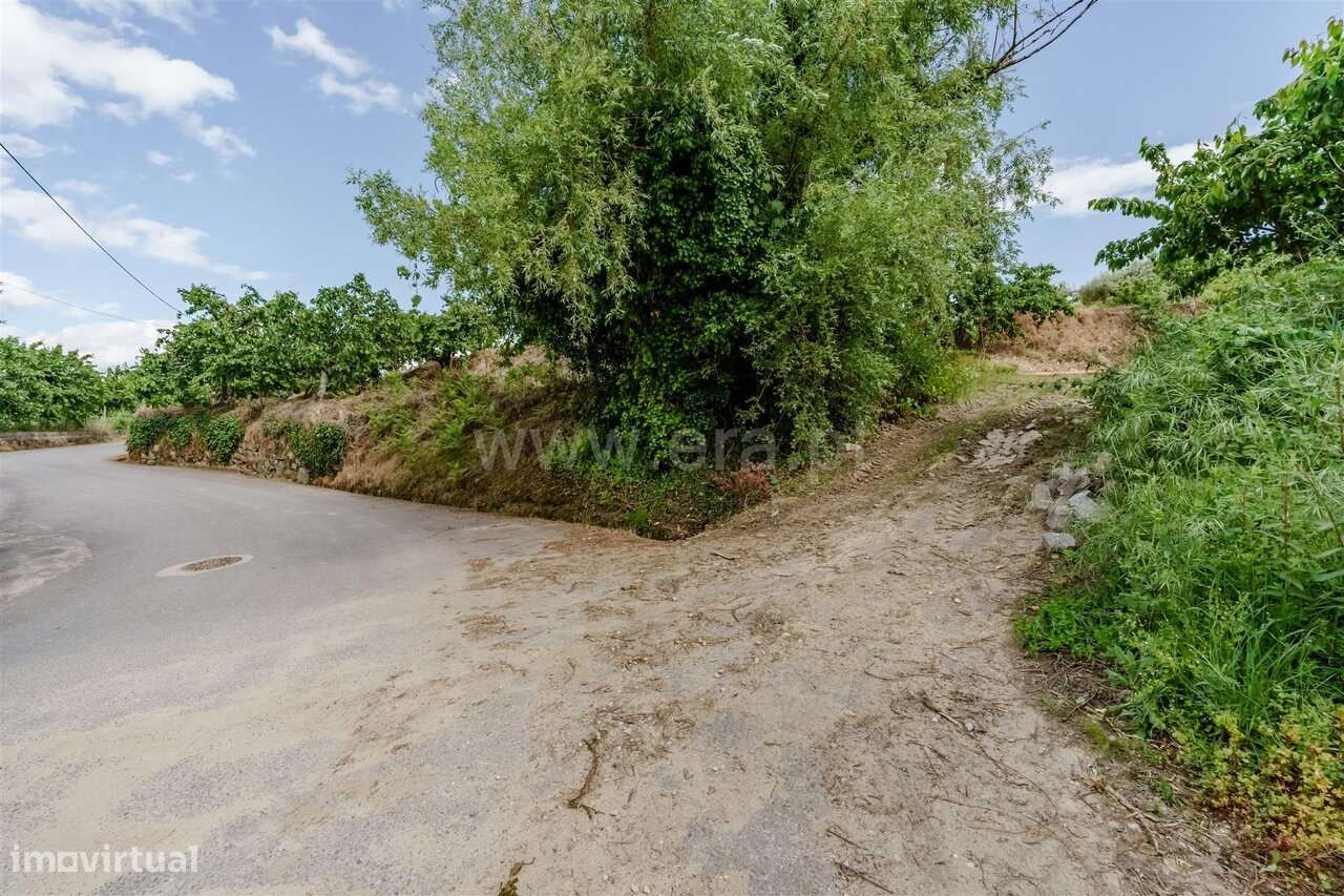 Terreno / Fundão, Fundão-11
