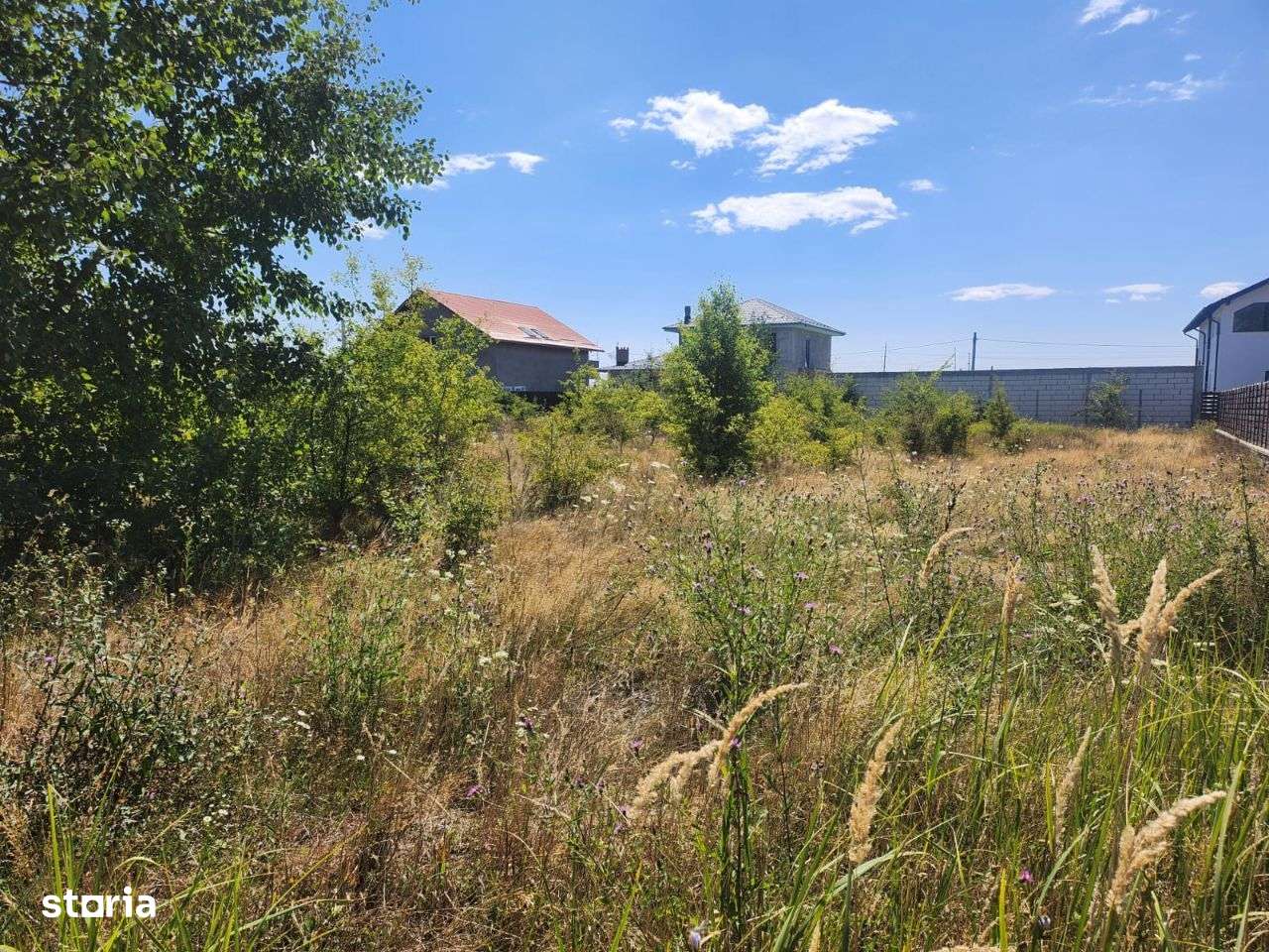 Teren intravilan de vanzare - Trivale Platou - Imagine principală: 1/4