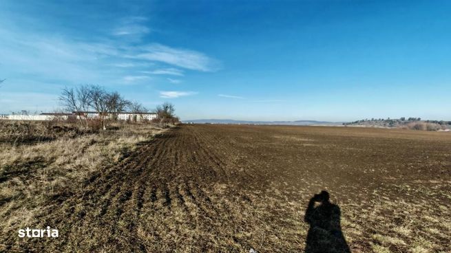Teren intravilan,428 mp,SANPETRU iesirea spre BOD, utilitati.-1