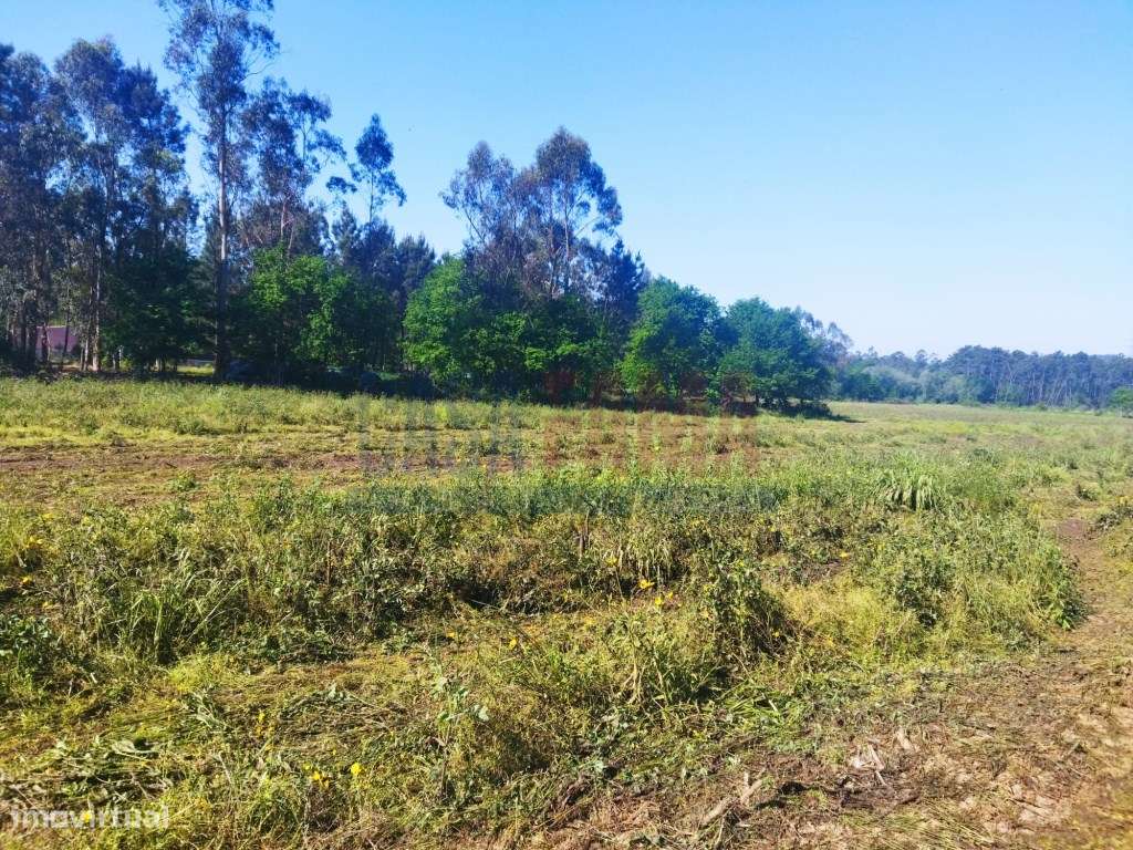 Terreno de construção em Fradelos-Vila Nova de Famalicão - Grande imagem: 5/11