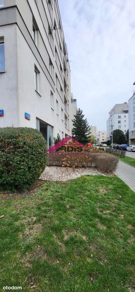 Marina Mokotów, parter, witryna.-7