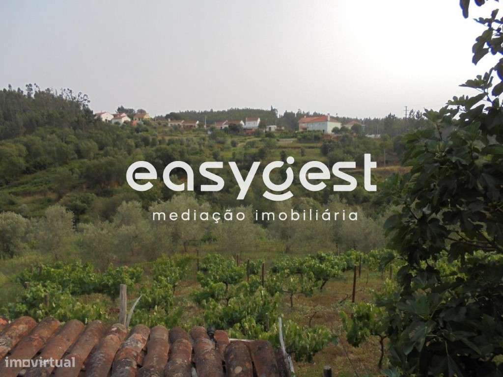 Moradia em ruínas a pouca distância da praia fluvial de Aldeia do Mato - Grande imagem: 4/13