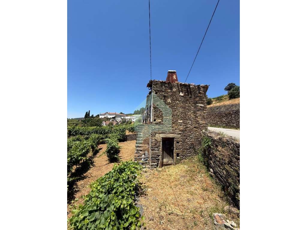 Casa de campo com projeto aprovado em Cidadelhe, Mesão Frio-4