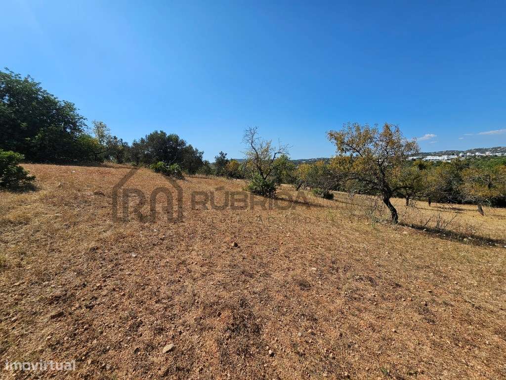 Casa com herdade de 30 mil m2 a sul de Loulé com enorme potencial-16