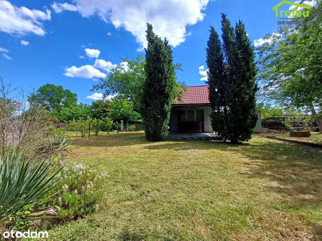 Duża działka ROD Chemik! - Pełny obrazek: 3/9