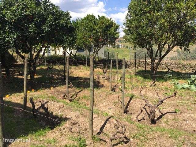 Casa com Terreno em Vilarinho de Cotas, Douro-16