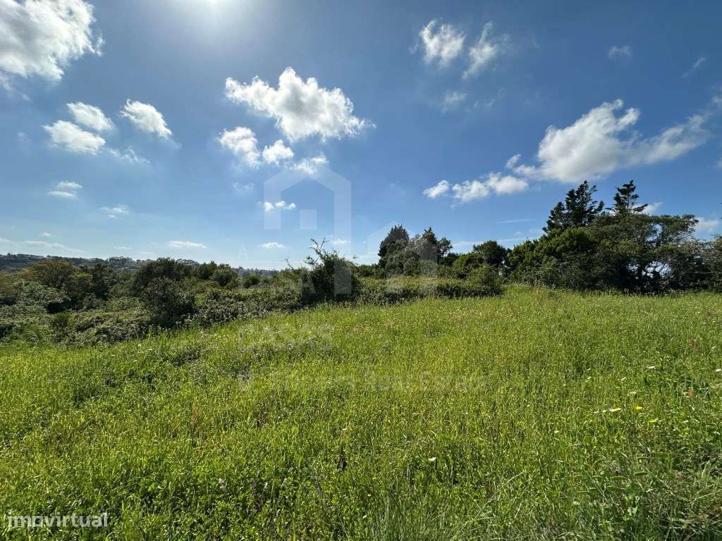 Vende Terreno - Mafra 5 km e Ericeira 10 km, A Casa das Casas - Grande imagem: 4/14