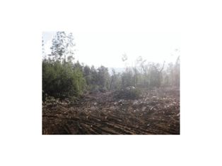 Terreno com 6.400 m², no Monte da Córdova - Santo Tirso.