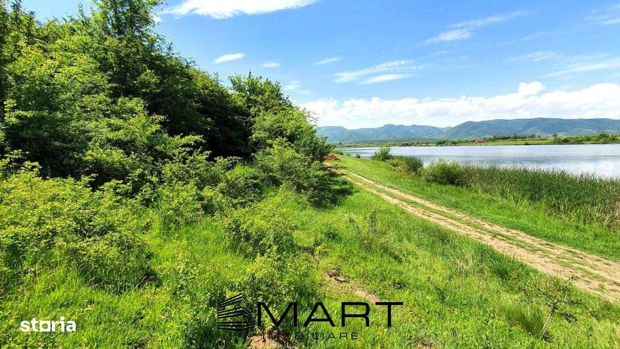 Teren extravilan 3200mp lac Sacel - Imagine principală: 3/7