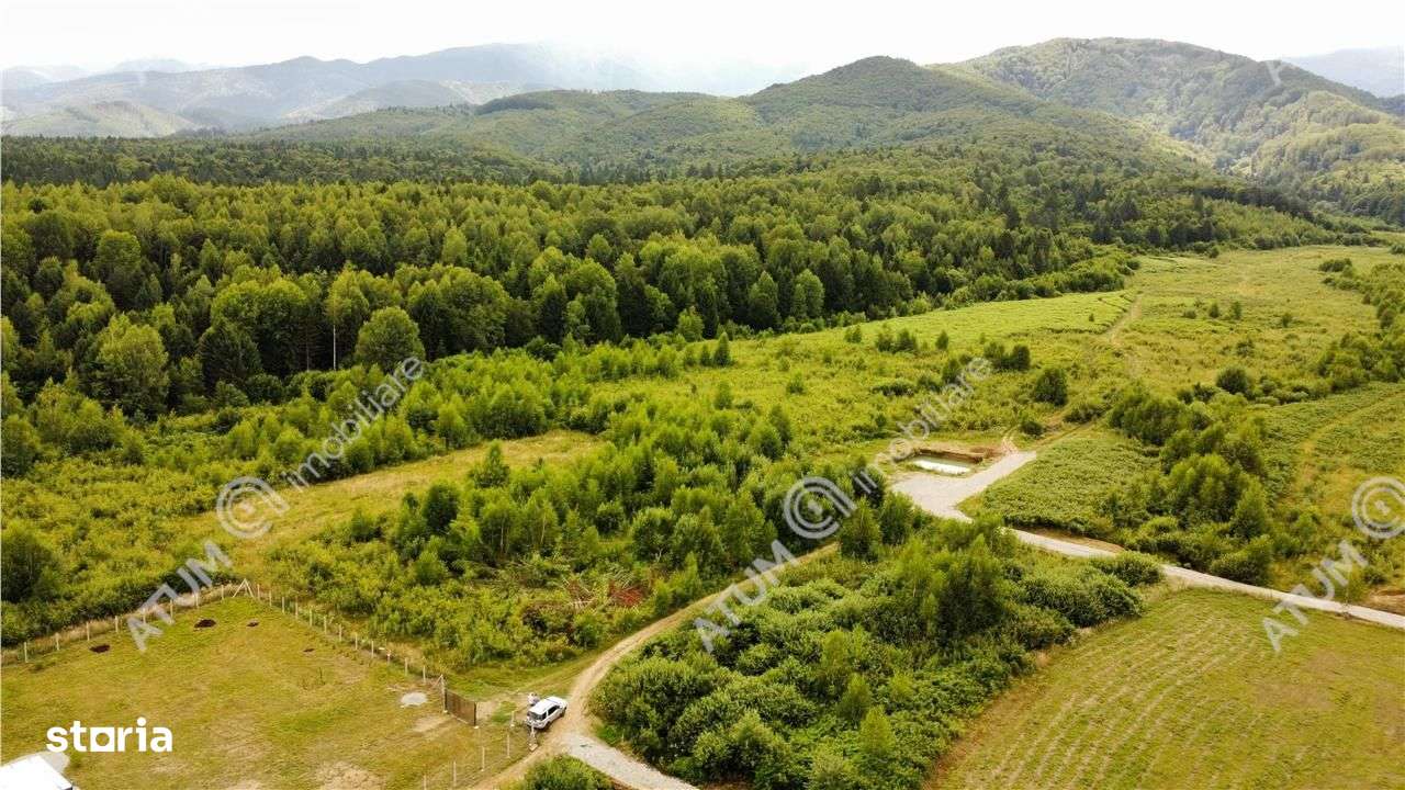 Teren intravilan 3900 mp Porumbacu de Sus, Sibiu - Imagine principală: 5/16