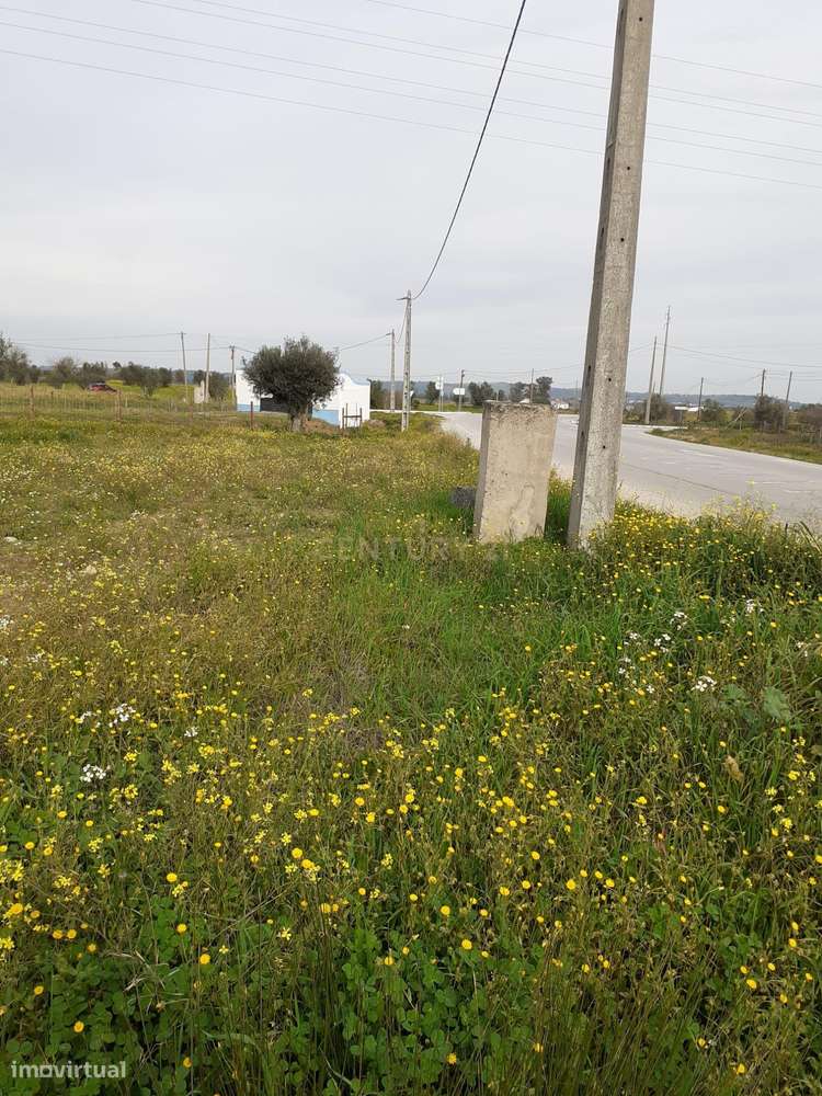 Terreno ás portas de Reguengos de Monsaraz - Grande imagem: 3/29