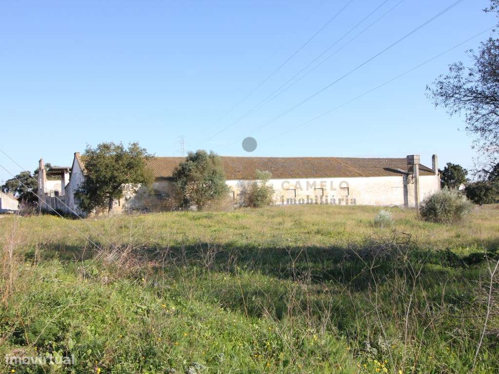 Terreno Misto em Palmela com Adega para Recuperar Loteamento - Grande imagem: 2/40