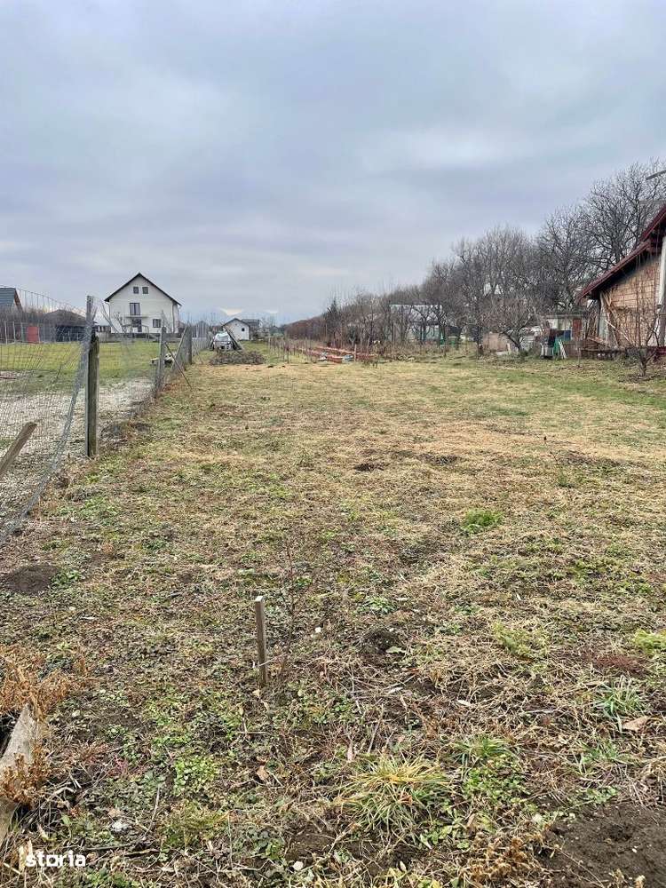 Teren Sanpetru Livada 1039mp ( curent) ! - Imagine principală: 1/4