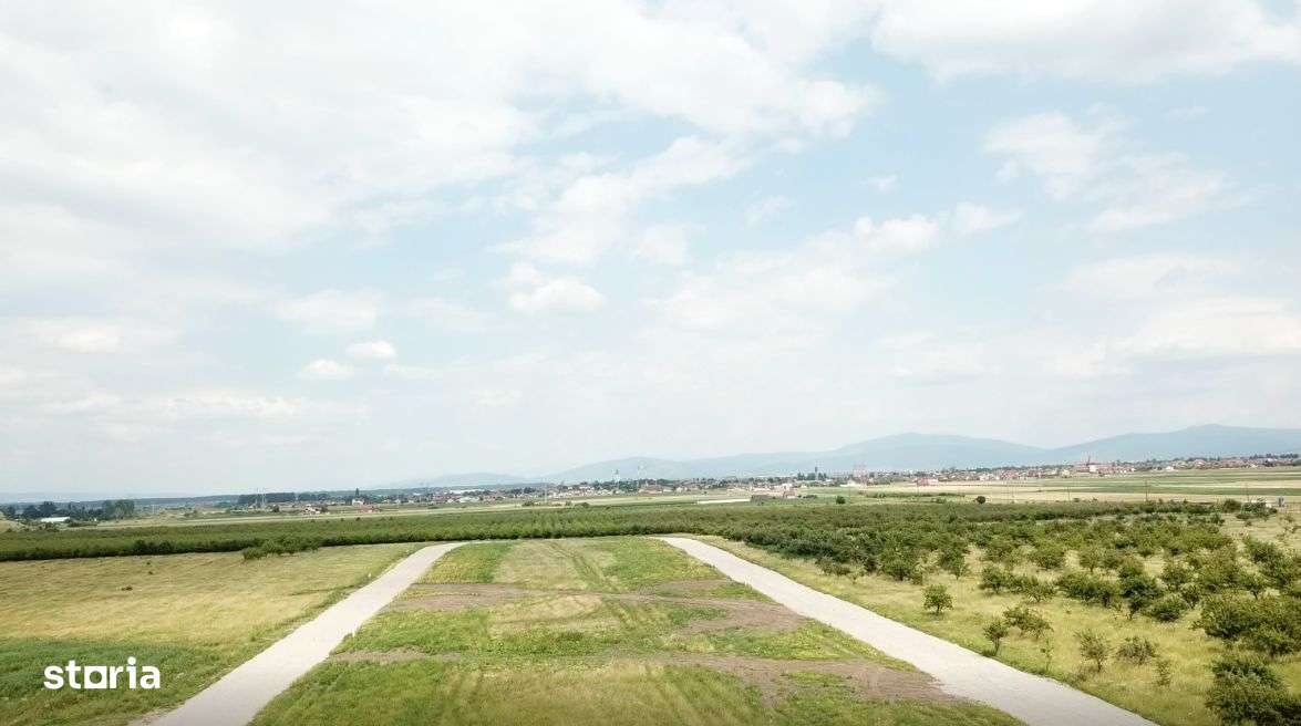 Vand teren intravilan Sanpetru la poalele Dealului Lempes-9