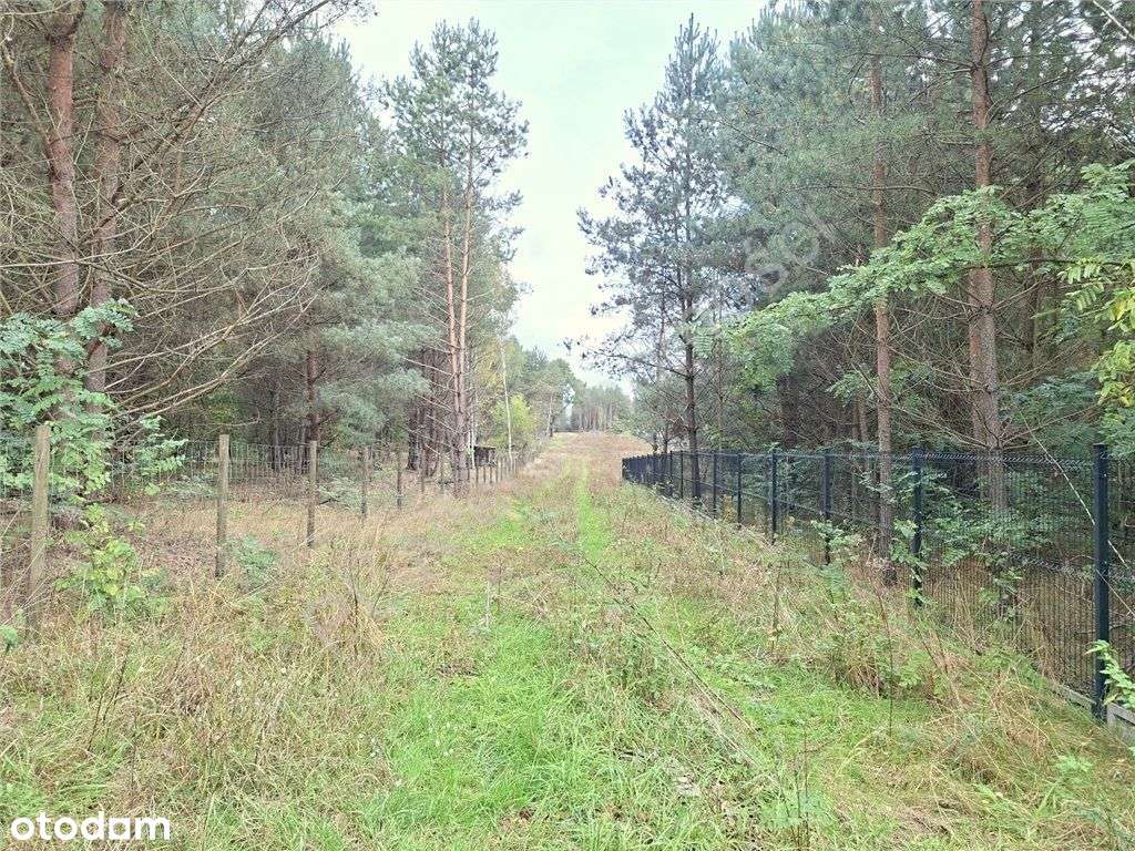 Działka budowlana...zieleń...piękne miejsce... - Pełny obrazek: 4/13