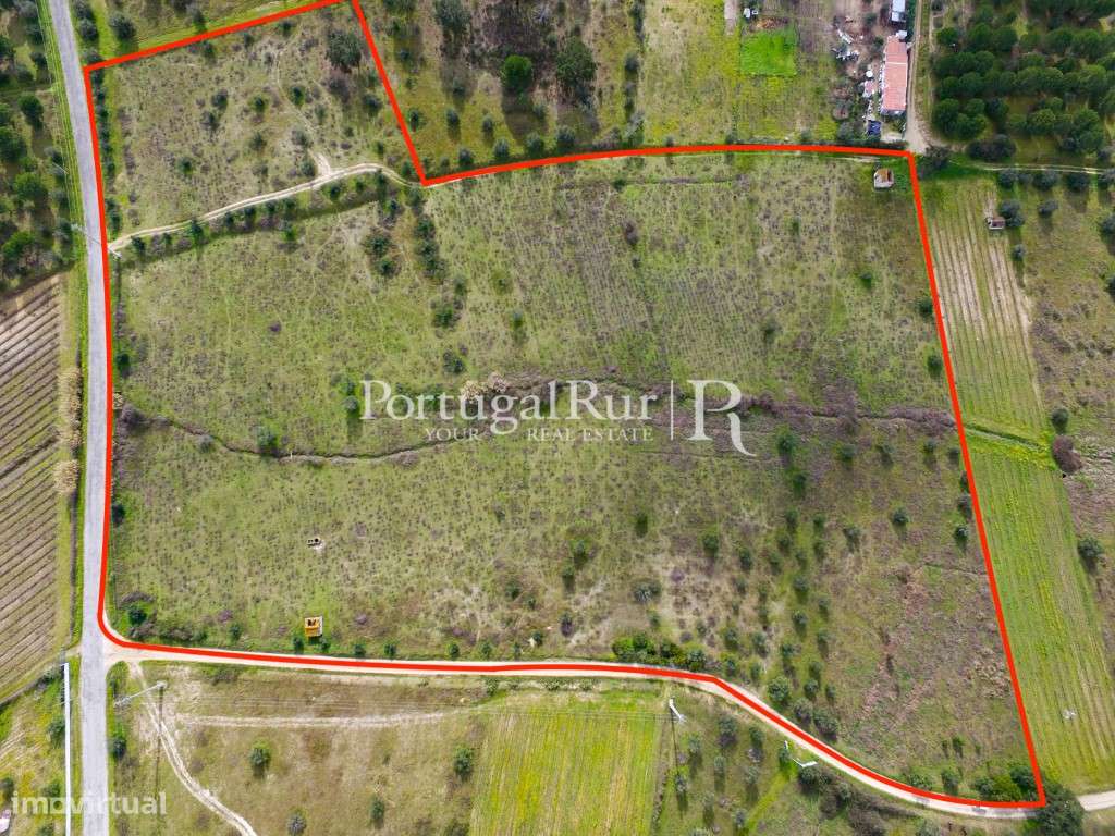 Vinhas do Cabeção - 7,175 hectares - Grande imagem: 2/18