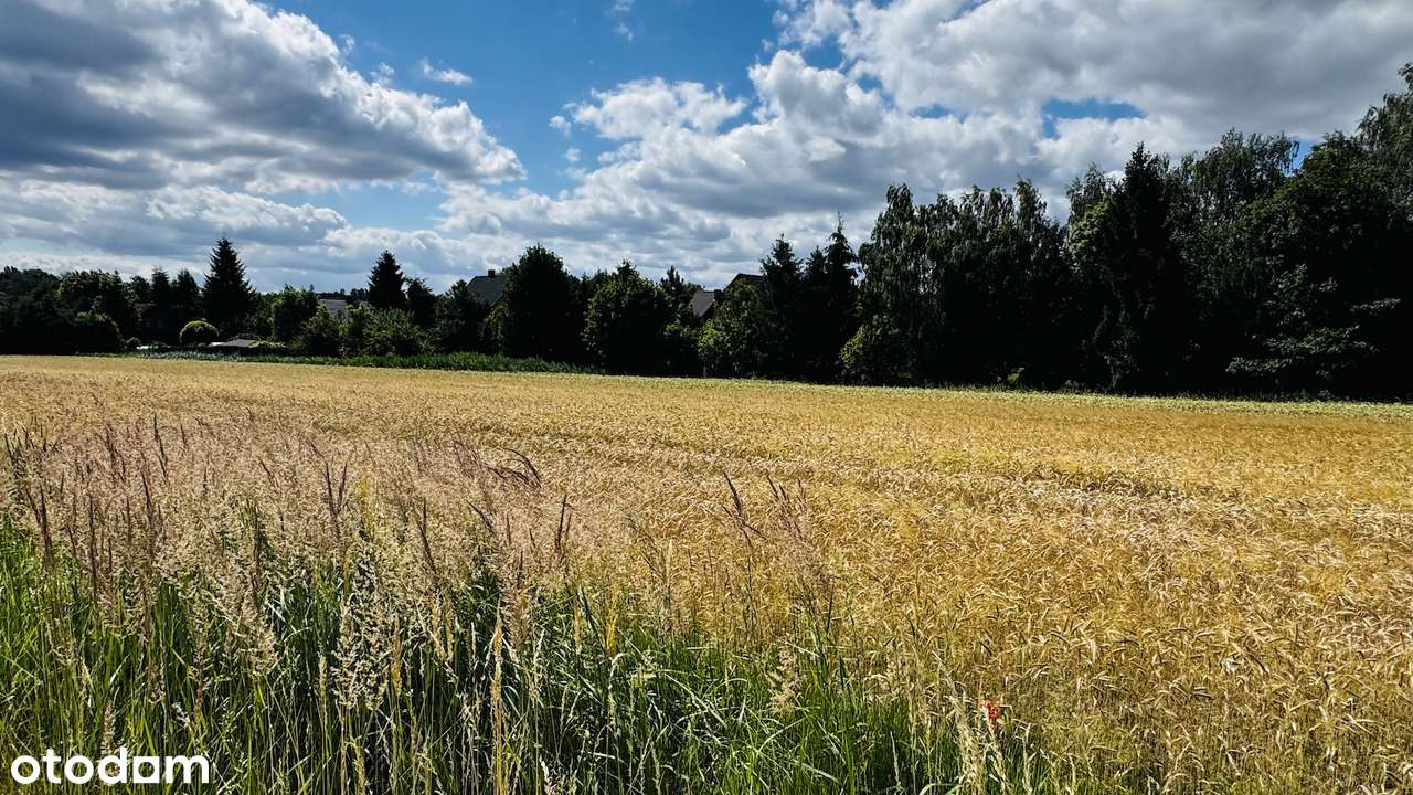 Działka pod zabudowę mieszkaniowo/usługową przy głównej drodze-5
