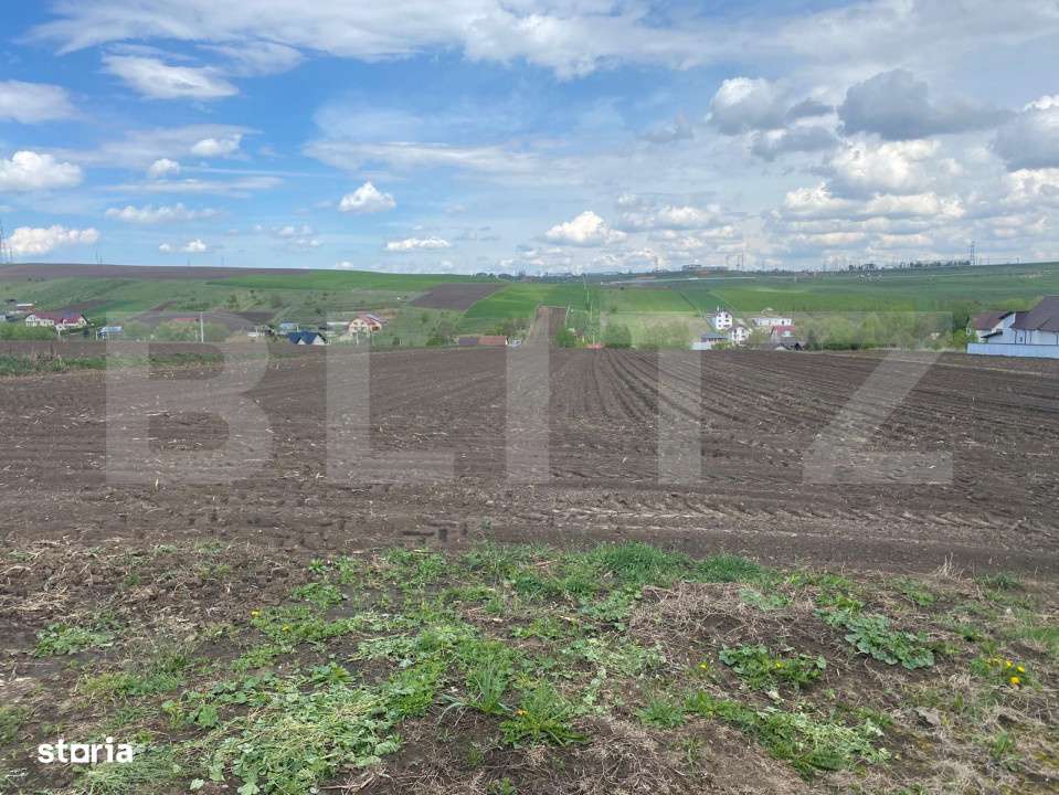 Teren Intravilan Moara , 5800mp - Imagine principală: 2/2