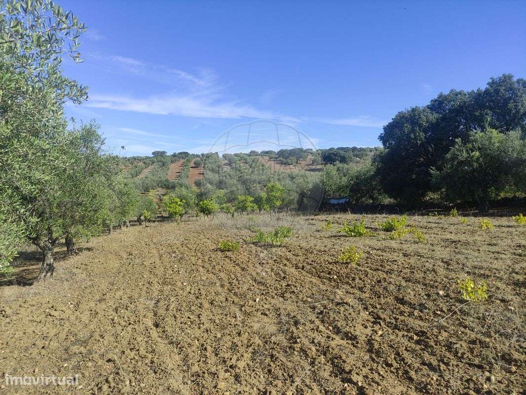 Terreno  para venda - Grande imagem: 4/10