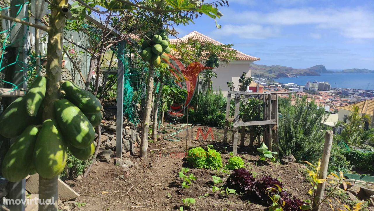 Terreno com 486m2 em Bairro Novo e Aprazível.