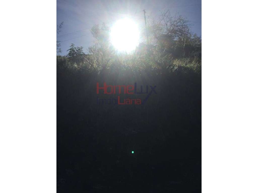 Terreno para construção -Pinheiro da Bemposta - Grande imagem: 4/7