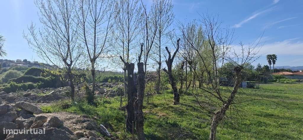 Moradia Térrea em Estrutura - Adaúfe - Grande imagem: 4/5