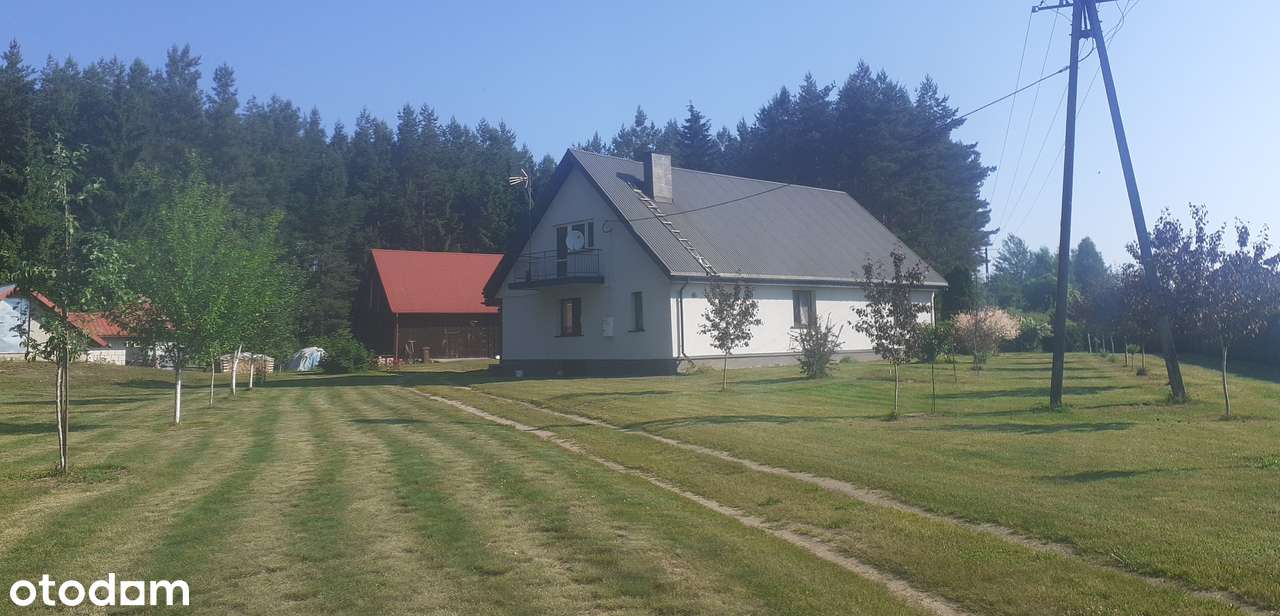 Dom-Siedlisko Nowy Lipsk powiat Augustów - Pełny obrazek: 2/19